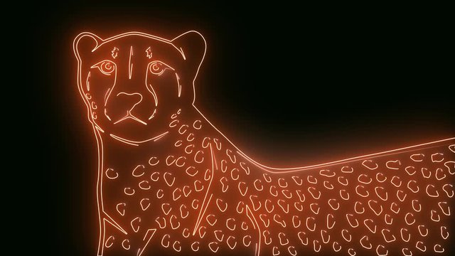 Cartoon wild african cheetah, guepard with neon light on black background. Glowing wild cat animation. Wildlife, nature, leopard cheetah logo. Safari, zoo