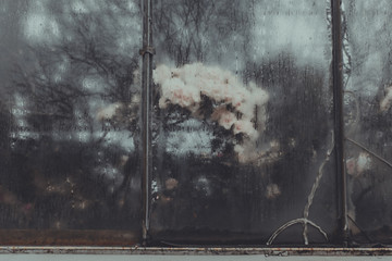 A blurry foggy window with dripping rain drops on the cracked glass. Background with condensate flowing water on the window glass..High air strong humidity, drops. Trees reflection. Colorful flowers