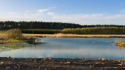 Wschód słońca nad wodą © Mariusz