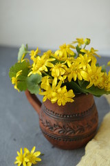 yellow flowers in a vase
