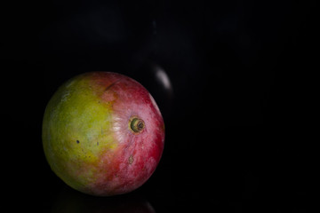 Mango on black