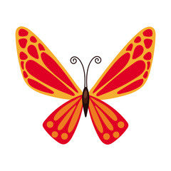 beautiful butterfly orange insect flat style icon