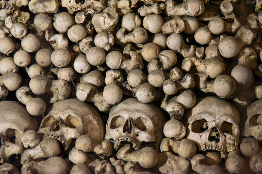 Teschi e femori