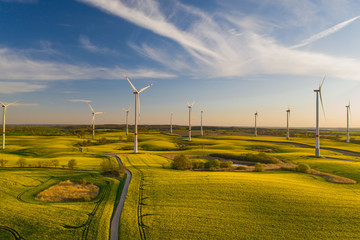Windpark in der Uckermark im Land Brandenburg