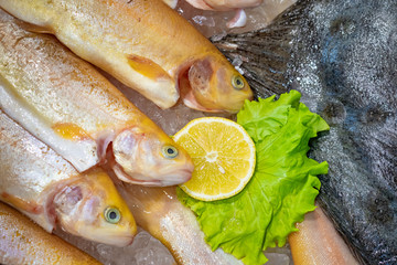 Fish shop window. Several varieties of fish on ice. The seafood counter is decorated with lemon and salad. Trout and flounder fresh catch. Seafood sales. Healthy diet.