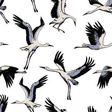 Hand drawn vector seamless pattern of beautiful flying storks. Realistic ink wild birds cranes background. Vintage colorful wallpaper. Gentle surface design for wrap, textile, postcard, print, fabric.