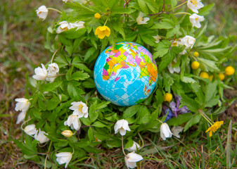 Obraz na płótnie Canvas The globe is surrounded by bright spring flowers.