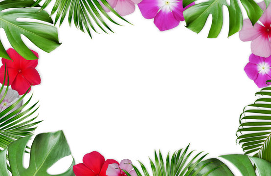 Exotic palm leaves, monstera and tropical flowers. Frame border background. Summer template for card