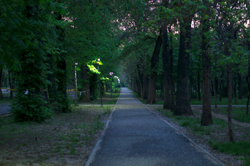 Evening Park during covid 19 Quarantine