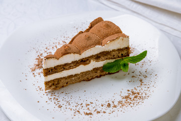 classic tiramisu dessert on white plate