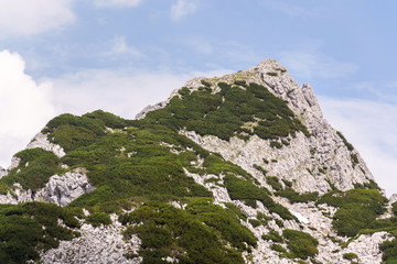 Strichkogel mountain summit between Grosser Donnerkogel and Angerstein in Alps, Gosau, Gmunden district, Upper Austria federal state, sunny summer day, clear blue sky