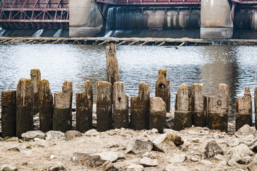 Textured fragments of a wooden dam on the lake . The old tree is covered with salt crystals and clams,