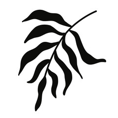 Palm leaf. Black-white set minimalistic set. Simple vector illustration on a white background.