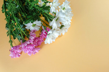 Bouquet of chrysanthemums on a beige background with copy space. View from above. - 343149593