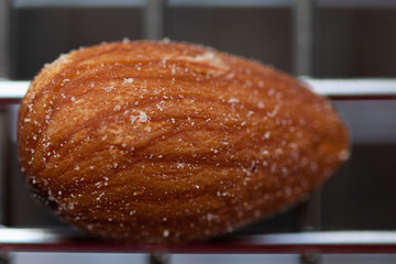close up of almond