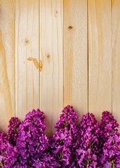 Fototapeta na wymiar flowers on a wooden wall
