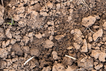 plowed land with clay in early spring for planting crops in the garden and in the field