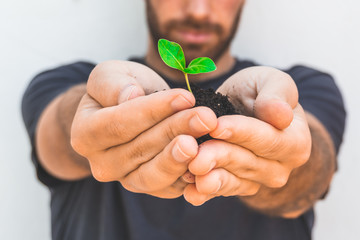 Man holding a little growing plant in front of his blurry face. Eco friendly and natural concept. Focus on the hands blurry and cut face.