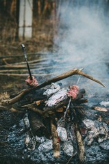 grilled fish on the grill