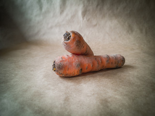Dirty orange carrots on a dark background 