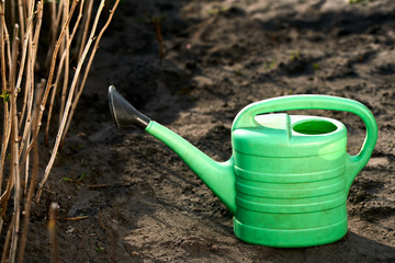 A green leek with watering water stands on the ground in a garden near the plants. care behind a harvest. garden business. Watering flowers and beds. rural areas. solar lighting