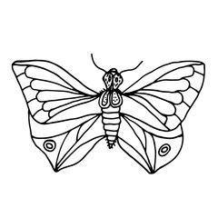 Butterflies and insects are hand-drawn. Vector doodles. Butterflies for coloring. Coloring pages for children, butterflies, chitocose, beetle. Logo, print, ornament. Design element.