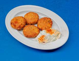 delicious minched tomato fries with tzatziki sauce, gourmet Greek plate