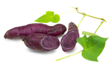 Japanese sweet purple potato on white background, Okinawa