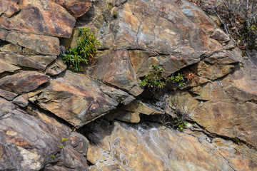 Nature Abstract: Pattern Created by Cracks and Crevices in a Solid Rock Wall