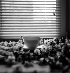 A cup of tea is on the table surrounded by apricot flowers against the window with the blinds. Black and white phography.