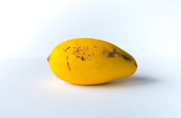 The picture of ripe and raw mangoes on a white scene