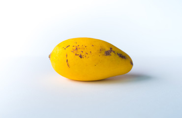 The picture of ripe and raw mangoes on a white scene