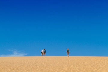 Fototapeta na wymiar Group of people is walking on the sand, copy space.