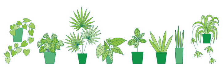 Vector house plants. Can be used as print, postcard, sticker. invitation, web, book or magazine or book illustration, packaging design, element design, textile.
