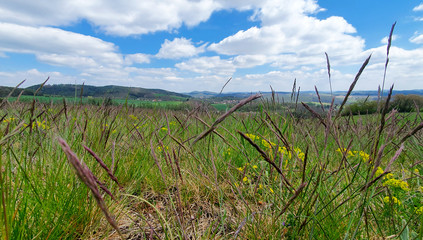 Obraz premium Spring meadow and blue sky with clouds landscape stock images. Beautiful Czech countryside with green meadow. Spring background images. Beautiful nature scene with spring meadow images