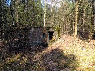 Fototapeta na wymiar Old war bunker, Westerplatte. Concrete bunker in the forest 