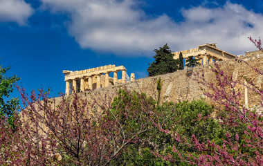 sprintime in Athens Greece, parthenon temple on acropolis hilll and lilac trees with violet flowers