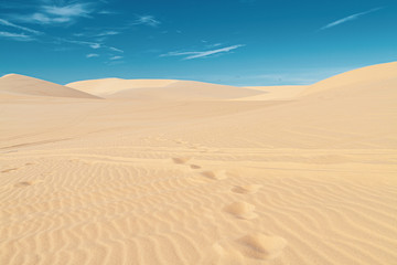 Fototapeta na wymiar Footprints in the sand in the desert, no people, blue sky.