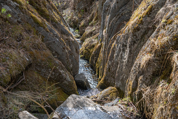 Mountain river in the gorg