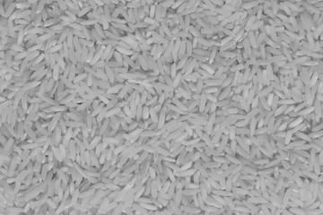 White rice grains
