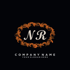 Initial Letter NR Logo With circle Template Vector