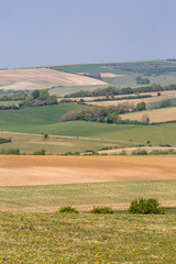 Fototapeta na wymiar A patchwork landscape in the South Downs in Sussex