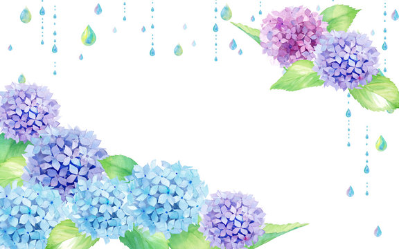 雨とあじさいの水彩イラストの装飾フレーム Stock Illustration Adobe Stock 雨とあじさいの水彩イラストの装飾フレーム Stock Illustration Adobe Stock