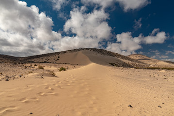 panorama island Fuerteventura south area of calm coast