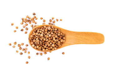 coriander seeds in spoon wooden on white background
