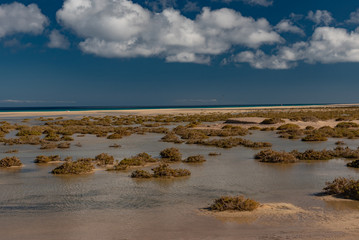 Canary Island of Fuerteventura