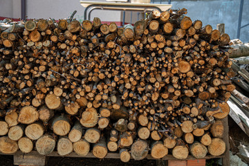 Pile of firewood. Circle wooden slice patterns of different sizes. Wood textured backdrop