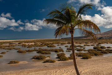 Canary Island of Fuerteventura