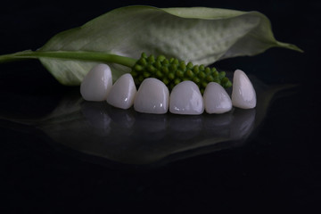
Ceramic  porcelain veneers, beautiful new smile, White teeth close-up