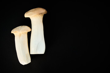 mushrooms eringi on black background